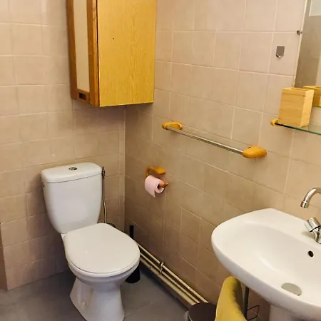 Apartment Charming One Bedroom Flat In St Cyprien Toulouse
