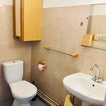 Charming One Bedroom Flat In St Cyprien Apartment