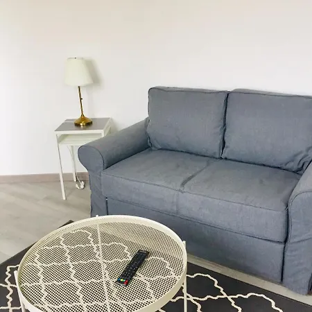 Charming One Bedroom Flat In St Cyprien Apartment *